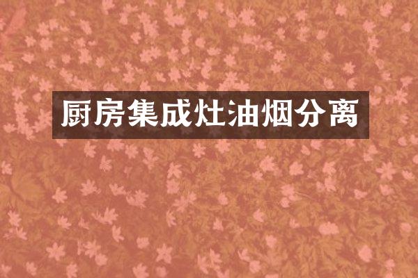 厨房集成灶油烟分离