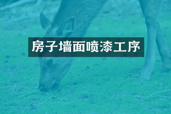 房子墙面喷漆工序