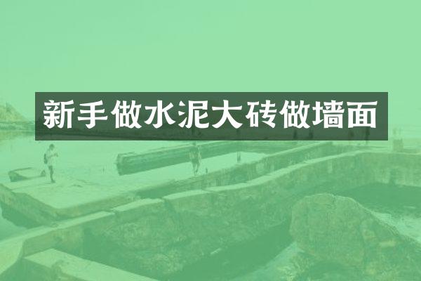 新手做水泥大砖做墙面