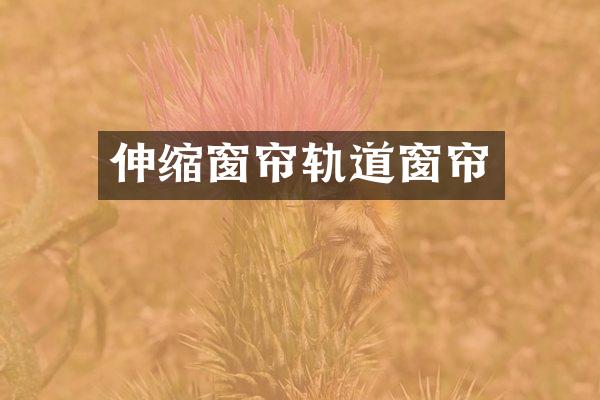 伸缩窗帘轨道窗帘