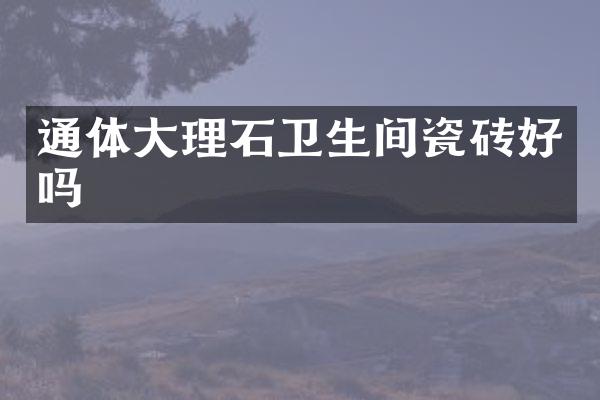 通体大理石卫生间瓷砖好吗