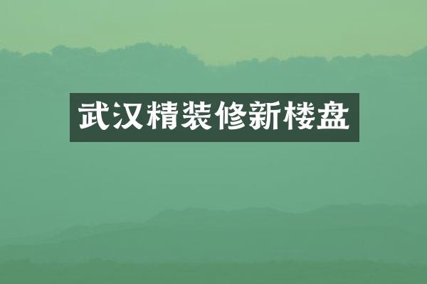武汉精装修新楼盘