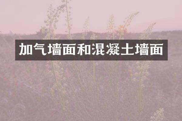 加气墙面和混凝土墙面