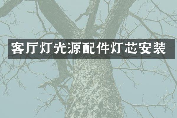 客厅灯光源配件灯芯安装