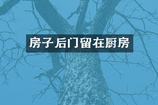 房子后门留在厨房