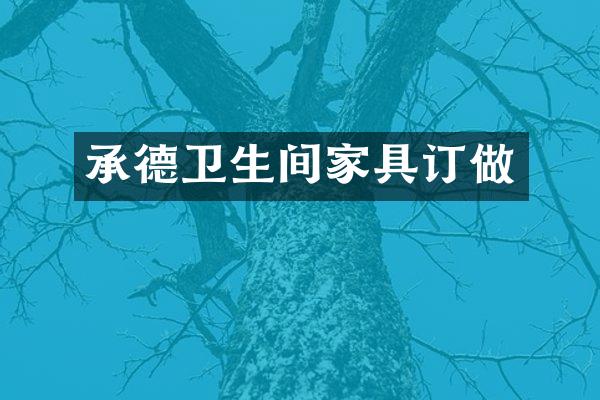 承德卫生间家具订做