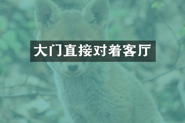 大门直接对着客厅