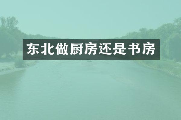东北做厨房还是书房