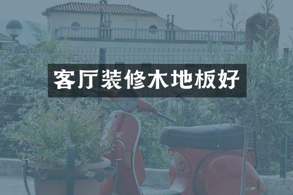 客厅装修木地板好