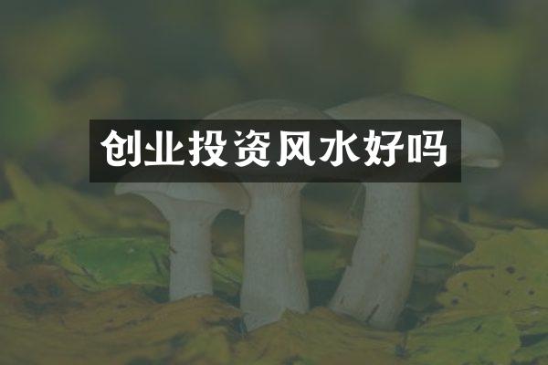 创业投资风水好吗