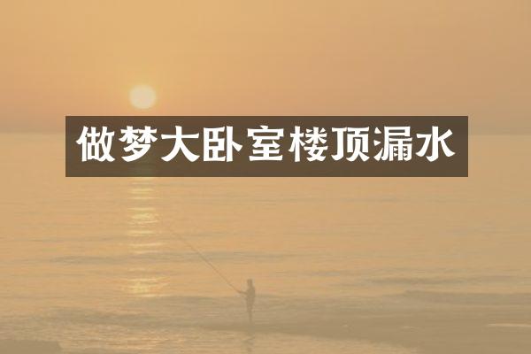 做梦大卧室楼顶漏水