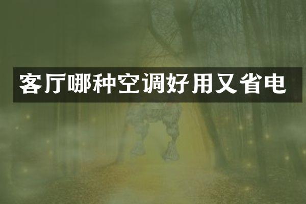 客厅哪种空调好用又省电