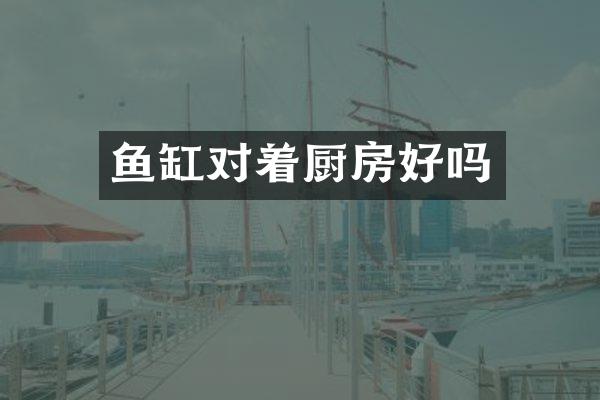 鱼缸对着厨房好吗