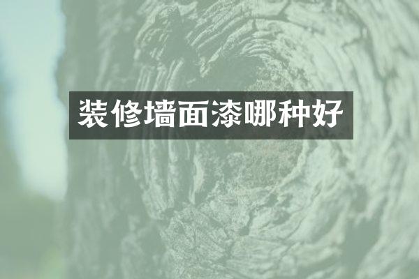 装修墙面漆哪种好