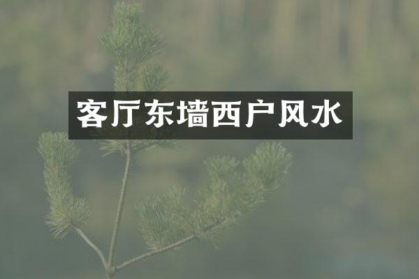 客厅东墙西户风水