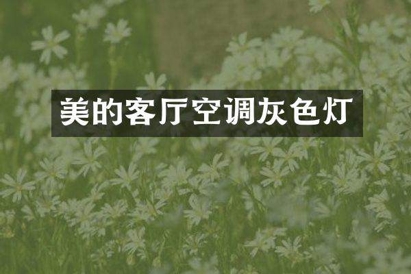 美的客厅空调灰色灯