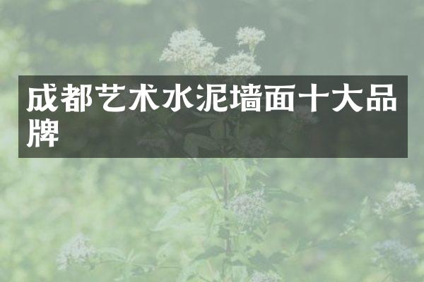 成都艺术水泥墙面十大品牌