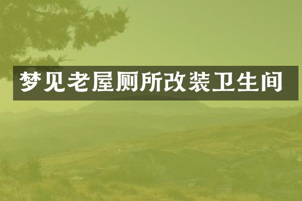 梦见老屋厕所改装卫生间
