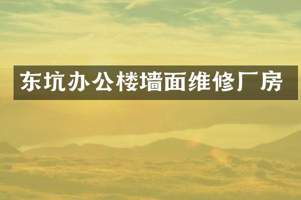 东坑办公楼墙面维修厂房