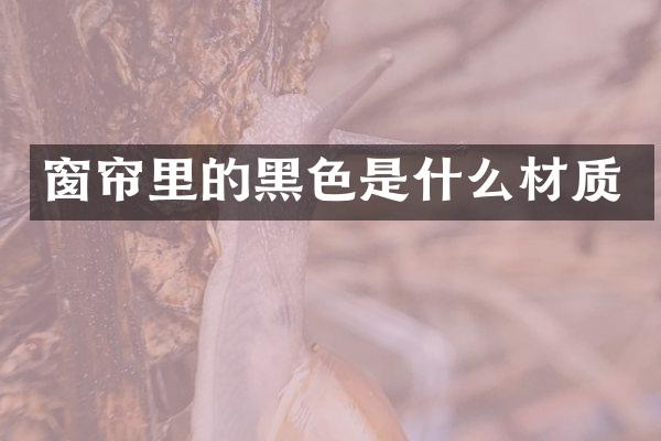 窗帘里的黑色是什么材质