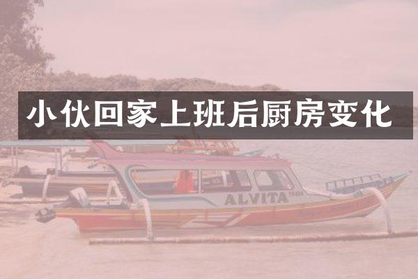 小伙回家上班后厨房变化