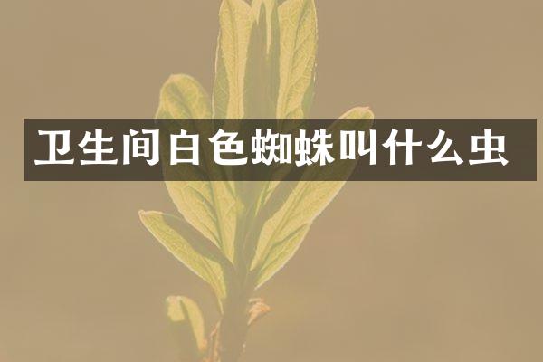 卫生间白色蜘蛛叫什么虫