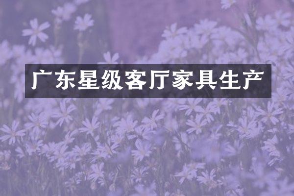 广东星级客厅家具生产