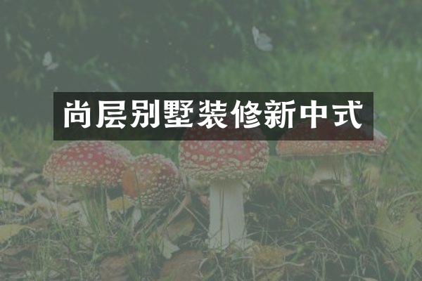 尚层别墅装修新中式
