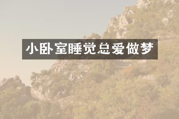 小卧室睡觉总爱做梦