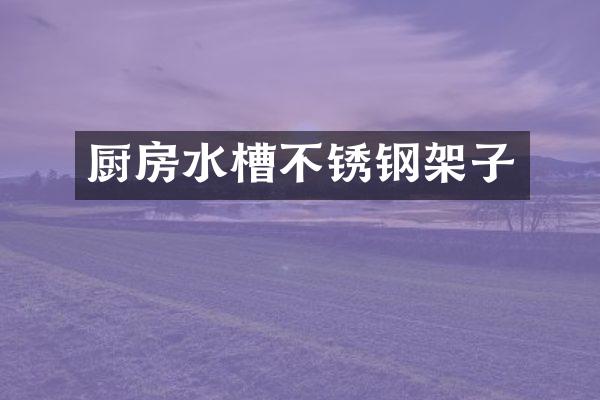 厨房水槽不锈钢架子