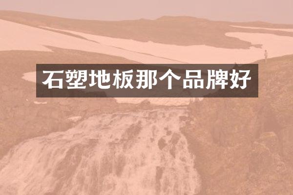 石塑地板那个品牌好