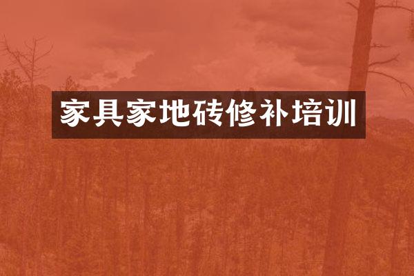 家具家地砖修补培训