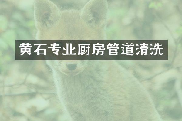 黄石专业厨房管道清洗