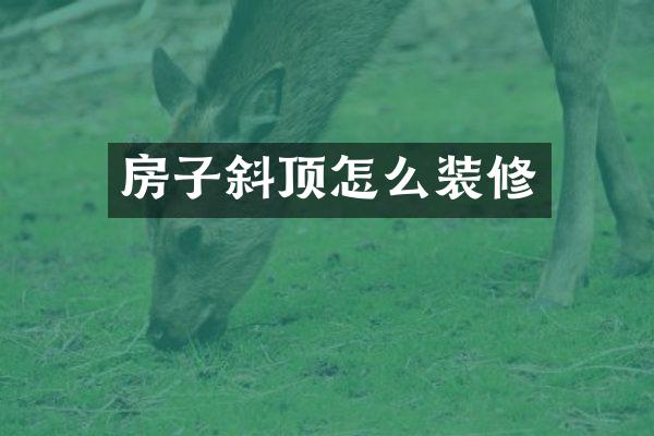 房子斜顶怎么装修
