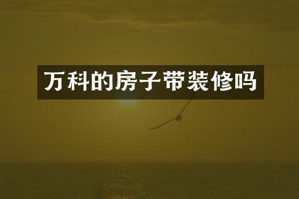 万科的房子带装修吗
