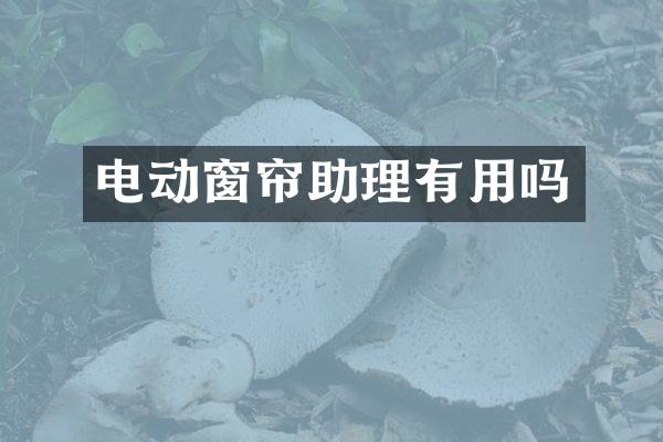 电动窗帘助理有用吗