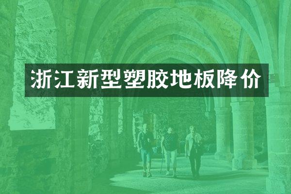 浙江新型塑胶地板降价