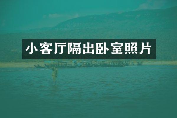 小客厅隔出卧室照片
