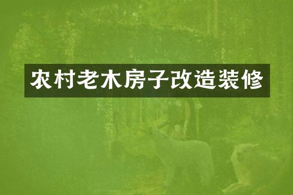 农村老木房子改造装修