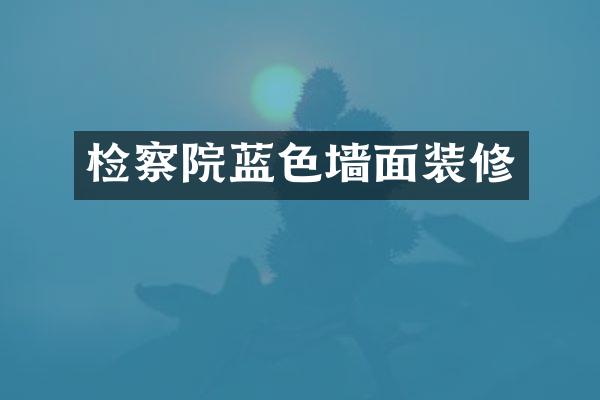 检察院蓝色墙面装修