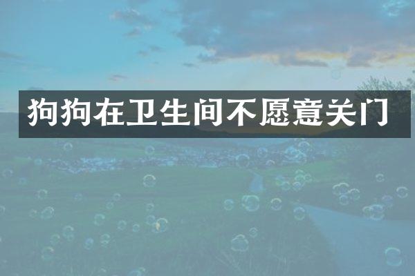 狗狗在卫生间不愿意关门