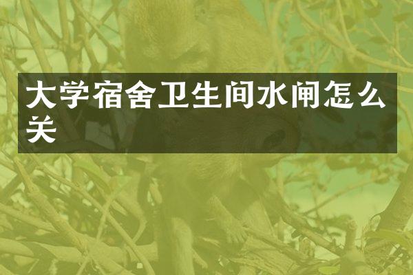 大学宿舍卫生间水闸怎么关