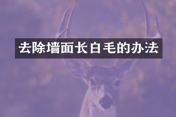 去除墙面长白毛的办法