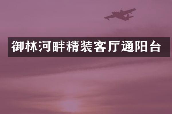 御林河畔精装客厅通阳台