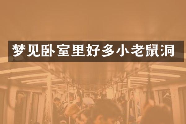 梦见卧室里好多小老鼠洞