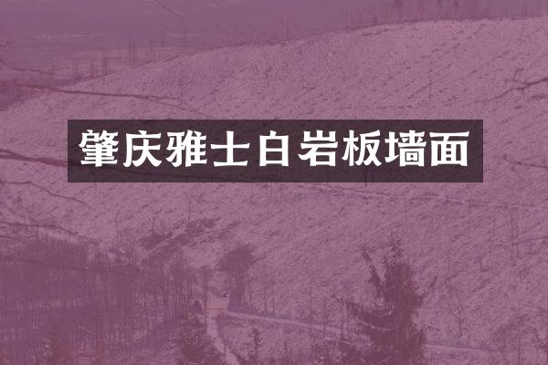 肇庆雅士白岩板墙面