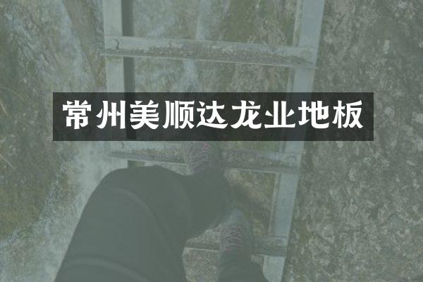 常州美顺达龙业地板