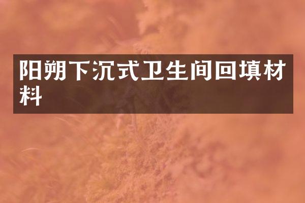 阳朔下沉式卫生间回填材料