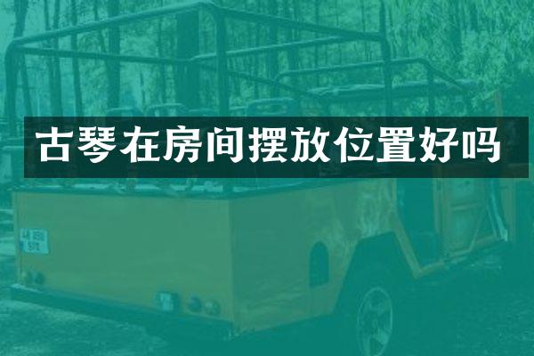 古琴在房间摆放位置好吗