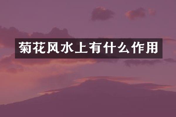 菊花风水上有什么作用